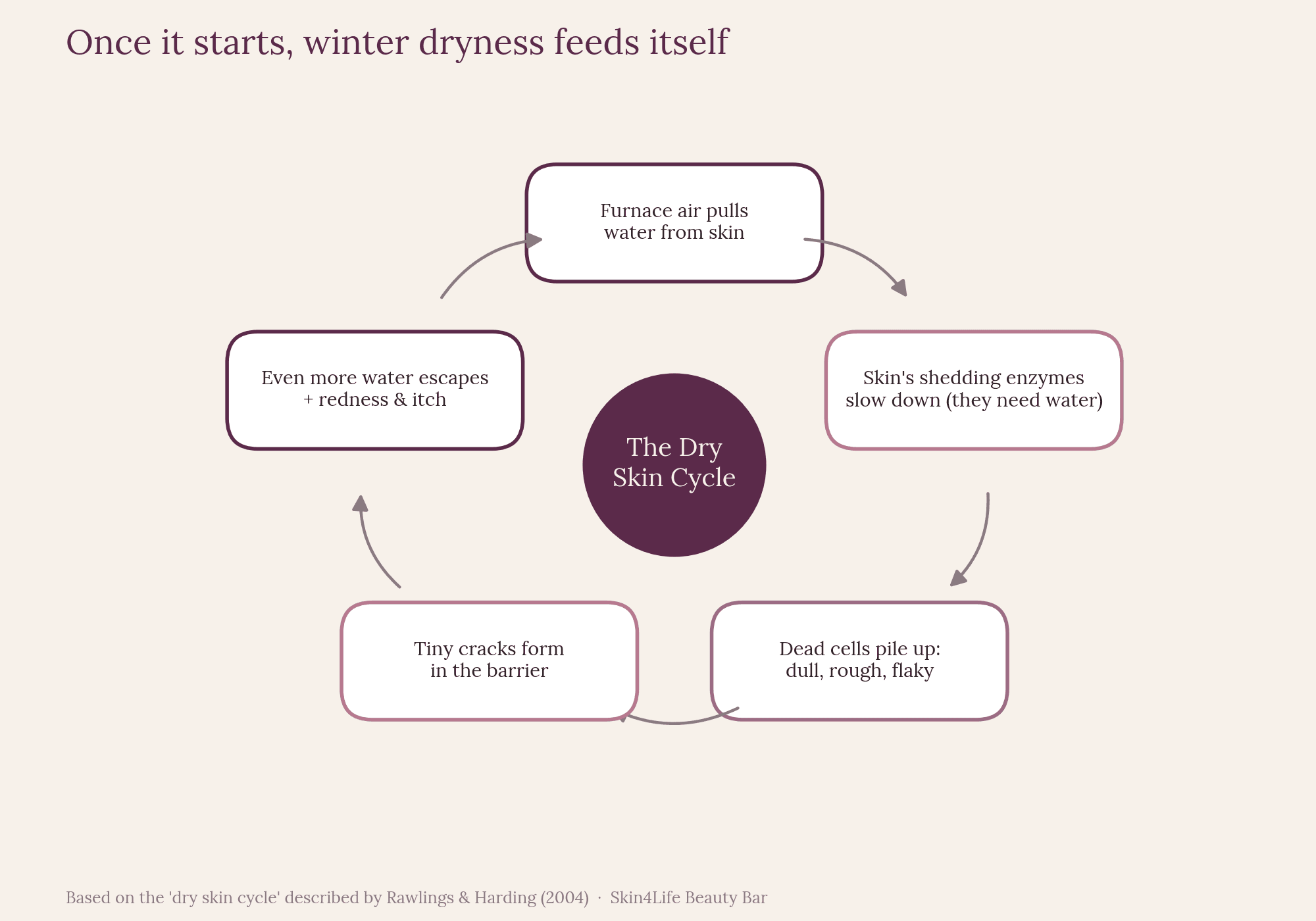 Circular diagram of the dry skin cycle: furnace air pulls water from skin, shedding enzymes slow down, dead cells pile up, tiny cracks form, more water escapes with redness and itch, and the cycle repeats.